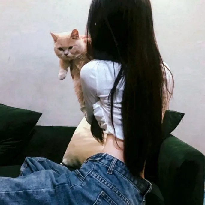 白色驯鹿
